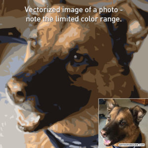 vector image disadvantage